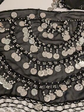 Silver Coin Fringe Belly Dance Skirt - Black and Silver